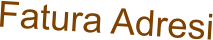Fatura Adresi